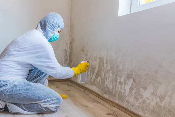 Licensed Mold Testing service in Lake Zurich, IL - WQB Mold Removal