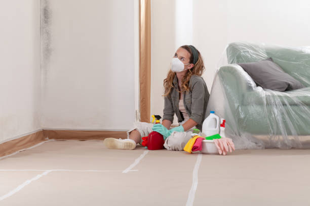 Reliable Mold Testing contractor in Lake Zurich, IL by WQB Mold Removal